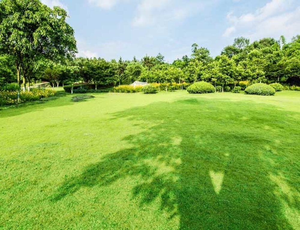 Tuin op het noordwesten Tuinontwerp en tuinaanleg