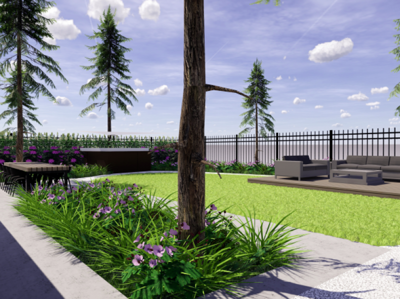 ontwerp-tuin-capelle-aan-den-ijssel-800×599